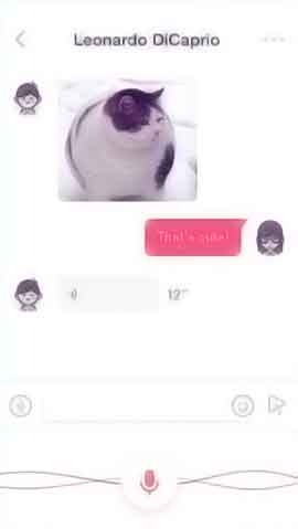 在线ddos网页端软件程序维护界面